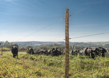 Lei estabelece requisitos para instalação de cercas elétricas em áreas rurais. Entenda