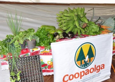Da produção à mesa: Coopaolga fortalece a agricultura familiar e amplia oportunidades em Nova Andradina