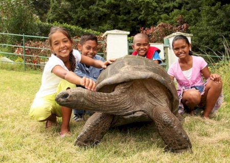 Enquanto humanos vivem 72 anos, esta tartaruga tem quase 200 e pode revelar o segredo da longevidade