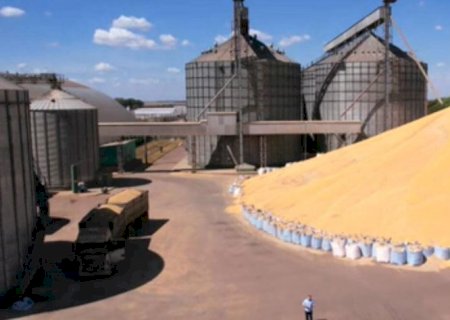 Falta de armazenagem agrícola impulsiona inflação de alimentos no Brasil