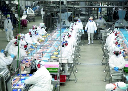 Agroindústria brasileira precisa de estratégia de Estado para ampliar competitividade
