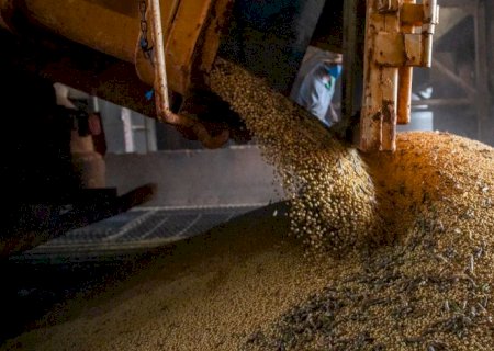 Produção brasileira de grãos deve aumentar apesar do El Niño