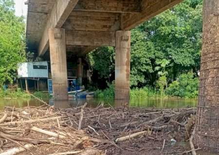 Em cheia antecipada, rio mais piscoso do Pantanal sobe mais 50 cm