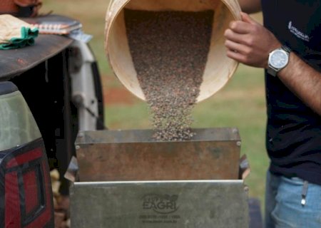 Mato Grosso do Sul importou menos fertilizantes em 2026