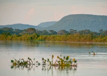 Agropecuária ocupa 48,9% do Cerrado após expansão de 51,2 milhões de hectares