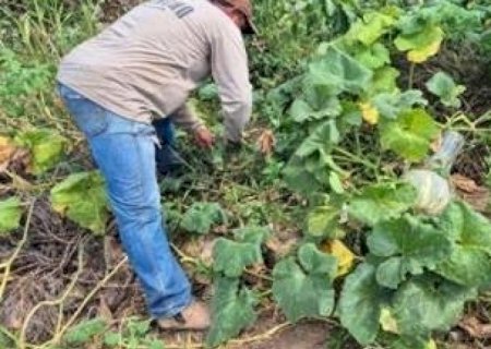Agro registra recorde de 28,4 milhões de trabalhadores no segundo trimestre