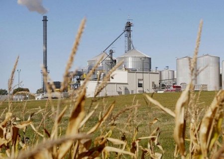 Fim da escala 6×1:Empresas do agro que mais devem sentir impacto da mudança