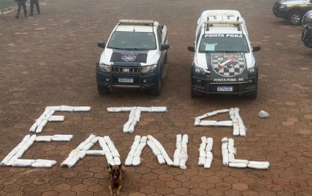 Polícia Militar apreende mais de 67 quilos de skunk escondidos em carreta em MS